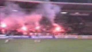 Red Star Belgrade Ultras [upl. by Edorej730]