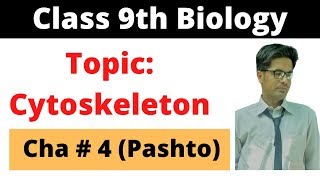 Cytoskeleton  Class 9 biology  Cha 4  Pashto  Home of biology [upl. by Ilowell]