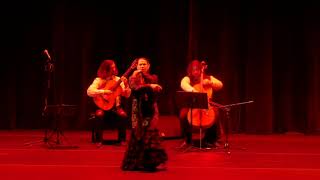 Asturias Leyenda – Dance Guitar Cello  ¡Con Fuego [upl. by Ettenowtna]