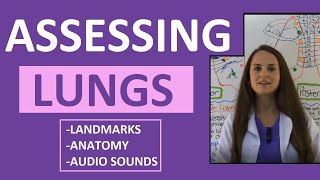 Lung Auscultation Landmarks Sounds Placement Nursing  Assessing Lungs Part 1 [upl. by Inafets]