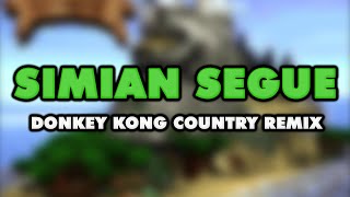 Donkey Kong Country  Simian Segue Remix [upl. by Darin390]