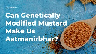 Can Genetically Modified Mustard Make Us Aatmanirbhar  Revolution ReadOn  English [upl. by Gorey]