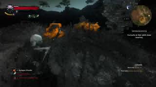 Lets Play The Witcher 3 Die Eroberung des Paradieses Folge 24 [upl. by Schindler]