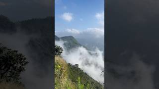 Munnar cloud view shorts ytstudio munnar munnarkerala [upl. by Manus]