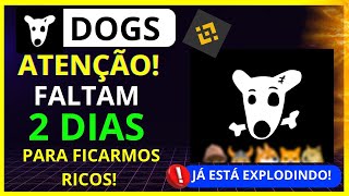 2 DIAS 🚨URGENTE🚨 CRIPTOMOEDA DOGS JÁ ESTÁ EXPLODINDO DOGS PODE CHEGAR A QUAL PREÇO [upl. by Ahsilem]