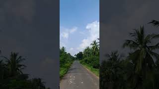 Y kotha palli Villagey kothapallitravel india konaseema village greenery shorts telugu [upl. by Atikat]