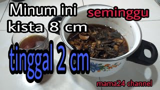 MINUM RAMUAN INI KISTA 8 CM TINGGAL 2 CM CERITA PENDERITA KISTA [upl. by Lindsay403]