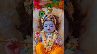 Bal Gopal ji  little krishna ✨shorts balgopal krishna sanatan hindu [upl. by Ahsinad]