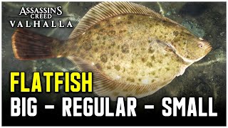 Assassins Creed Valhalla  Flatfish Fish Locations Big  Regular  Small [upl. by Haikan]