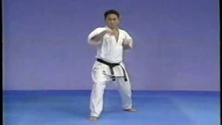 Karate kyokushin kata taikyoku 12 and 3 [upl. by Boesch]