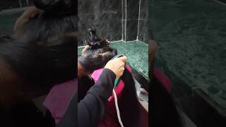 Iron box tho hair straight trending shorts hacks viralvideo youtubeshorts ytshorts popular [upl. by Morna]