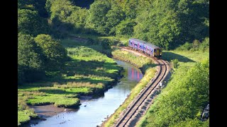 Drivers eye view of the Looe Valley Line [upl. by Ishii514]