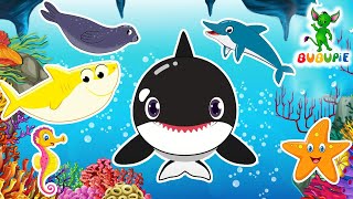 Save Marine Life  Learn About Sea Animals  Marine Animals Kids Song  BUBUPiE [upl. by Noremac]