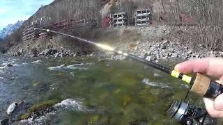 2023  Pêche de la truite au leurre en petite rivière de montagne  Hautes Alpes [upl. by Chaffinch956]