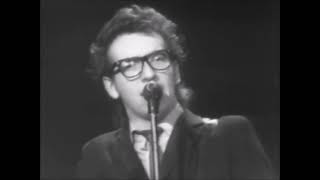 ELVIS COSTELLO live at CaApitol theatre waiting for the end of the world [upl. by Darooge]