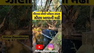 સમાધીમાં ઝીણા બાવાના મુખના દર્શન થયા  Parikrama 2024  Girnar Lili Parikrama  Milan Danidhariya [upl. by Aiseneg575]