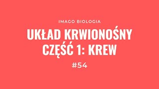 Układ krwionośny Krew [upl. by Aicrop]