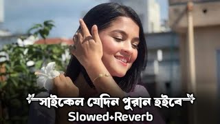 Manush Ekta Dui Chakkar Cycle Lofi  সাইকেল যেদিন পুরান হইবে SlowedReverb Shahalam Sarkar  Tikto [upl. by Annahsar742]