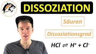 DISSOZIATION Säuren amp Salze  Chemie Tutorial [upl. by Aruasor92]