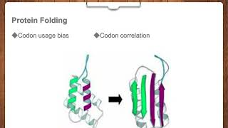 Codons OptimizationCreative Biogene [upl. by Azar]