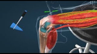 la Sémiologie neurologique des réflexes [upl. by Adnoluy]