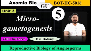 Microgametogenesis Reproductive biology of Angiosperms Bsc Botany 5th sem GU Rajib Axomia Bio [upl. by Tubb]