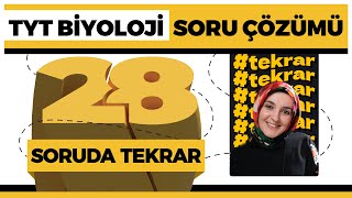 TYT Biyoloji Soru Çözümü  TYT Tekrar [upl. by Robbie]