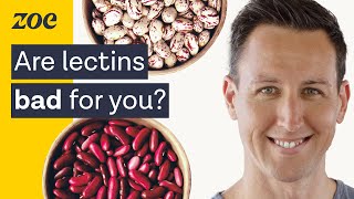 The surprising truth about lectins  Dr Will Bulsiewicz [upl. by Conroy165]