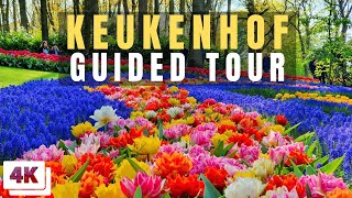 Keukenhof Full Guided Tour [upl. by Markowitz]