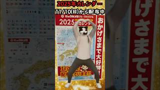 ビックカメラダンス】カレンダーキタービックカメラビックカメラダンスai catmemes ビックカメラ踊ってみた [upl. by Ennagroeg]