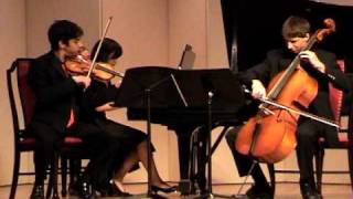 Brahms piano trio in C major Op87 Allegro [upl. by Corenda]