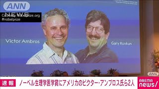 【速報】ノーベル生理学医学賞は米国の教授2人に 遺伝子の活動制御の研究2024年10月7日 [upl. by Syverson625]