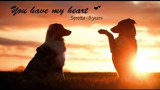 ♡ You have my Heart Sprotte  8 Years ♡ [upl. by Joanne151]