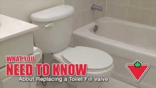 How to Replace a Toilet Fill Valve [upl. by Groark]