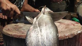 Incredible Giant Fish Cutting Skills Live In Fish Market  Fish Cutting Skills  Part  9 [upl. by Socem]