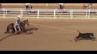 Cheyenne Rodeo  Calf Roping 2nd Go Round  July 20 2017  Part 2 [upl. by Niwdog]