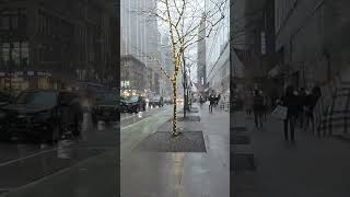 Snow in Manhattan  6th Avenue NYC [upl. by Adianez]