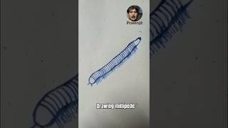 How to Draw a Millipede । Millipede Drawing Easy shorts [upl. by Sesmar]