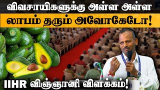 விவசாயிகளுக்கு அள்ள அள்ள லாபம் தரும் அவோகேடோ Avocado farming  IIHR Scientist Dr Senthilkumar [upl. by Eleonora548]