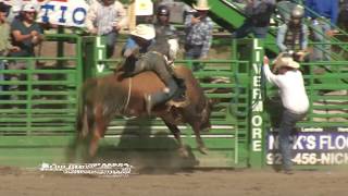 Not one 8 second ride 2019 Livermore Rodeo [upl. by Eltsyek406]