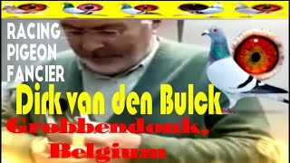 Racing Pigeon Fancier Dirk van den Bulck Grobbendonk Belgium Columbidae [upl. by Basir]