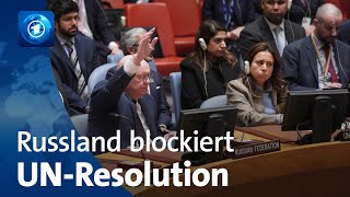 Sicherheitsrat zu Annexionen Russland legt Veto gegen UNResolution ein [upl. by Tarazi]