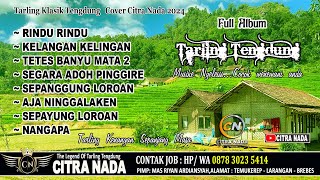 TARLING TENGDUNG CIREBONAN TERLARIS COVER CITRA NADA [upl. by Devy196]