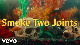 Sublime  Smoke Two Joints Official Music Video [upl. by Olmsted]