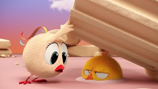 Chick in Athens  Wheres Chicky  Cartoon Collection in English for Kids  New episodes [upl. by Ardried]