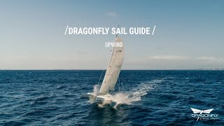 Dragonfly Sail Guide  Upwind [upl. by Meluhs632]