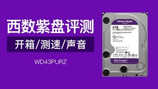 西部数据机械硬盘WD43PURZ评测（开箱分区设置测速声音测试）机械硬盘怎么选 科技分享 [upl. by Noeruat]