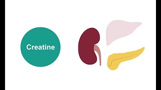 Measuring serum creatinine [upl. by Betsey]