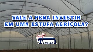 VALE A PENA TER UMA ESTUFA AGRÍCOLA [upl. by Bastien]