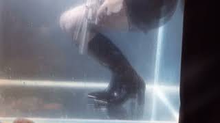 TRAILER Soaked 750 Alexander Wang Mascha boots in water [upl. by Novihs]